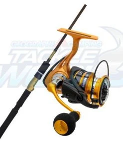 Daiwa Aird X Spin Combo