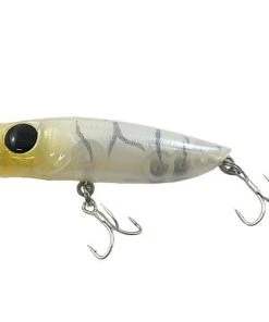 Jackson Pygmy Popper