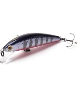 Jackson Trout Tune 55S