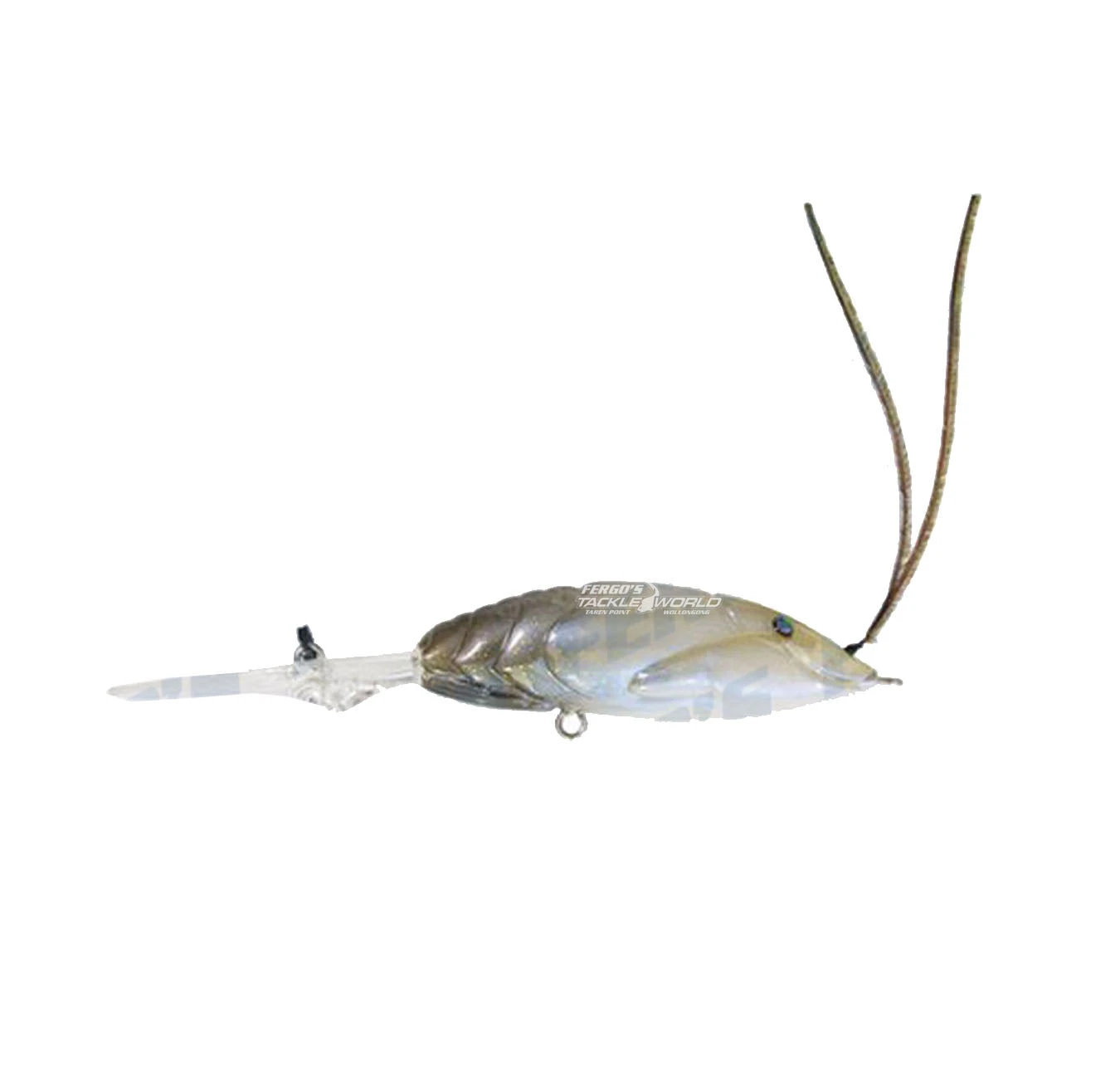 Megabass X-Dad - Image 2