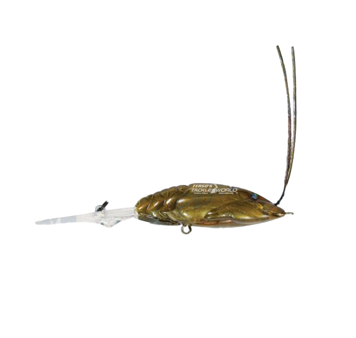 Megabass X-Dad - Image 3